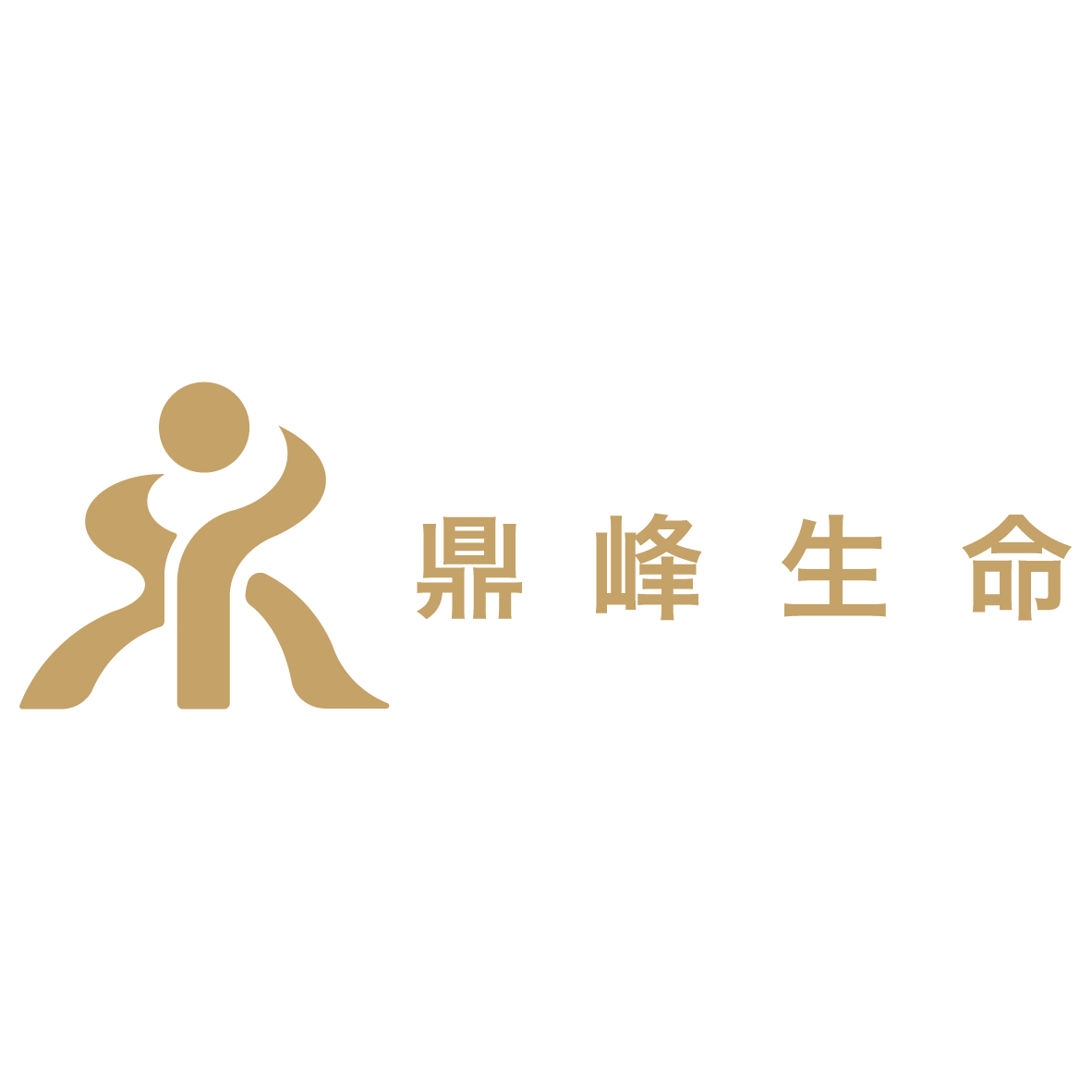 鼎峰生命